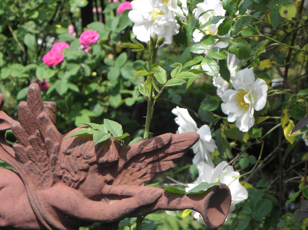 Jardin d' Arsac主图