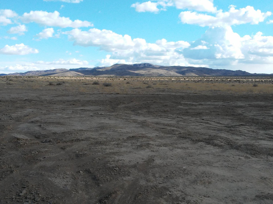 Geology Tour Road-约书亚树国家公园必去景点