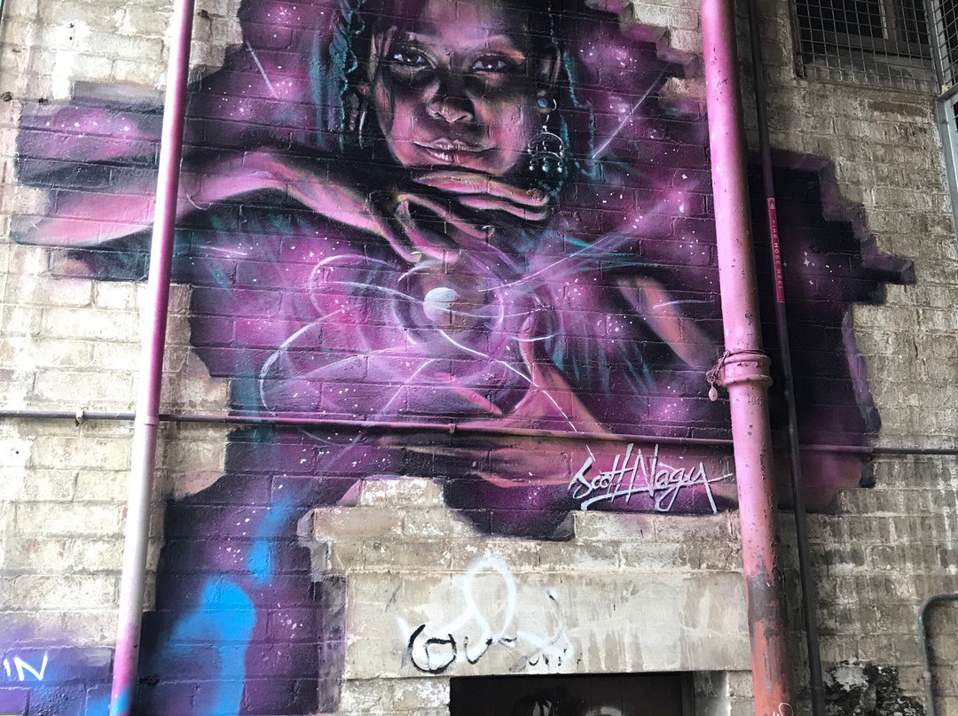 Street Art Walk - by Street Art Murals Australia景点图片