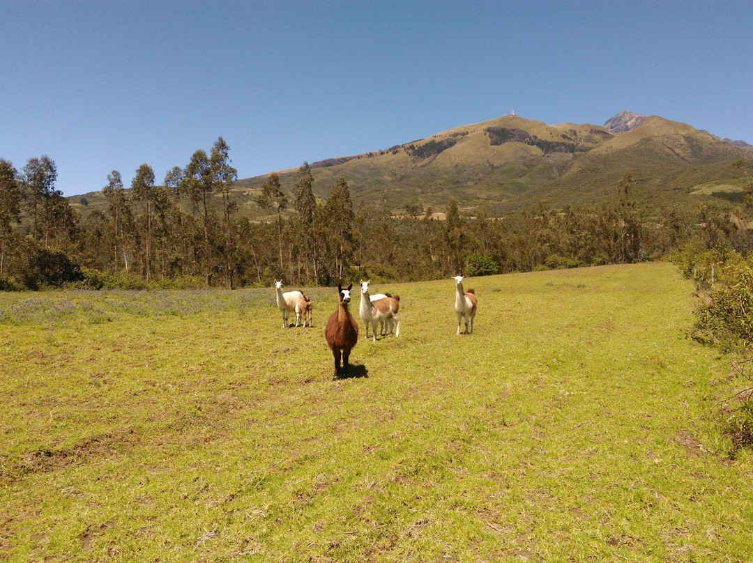 Cotacachi酒店住宿-Hacienda San Isidro De Iltaqui