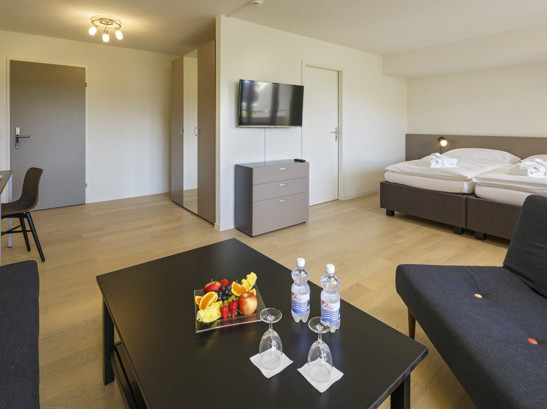 VitalBoutique Hotel Zurzacherhof主图