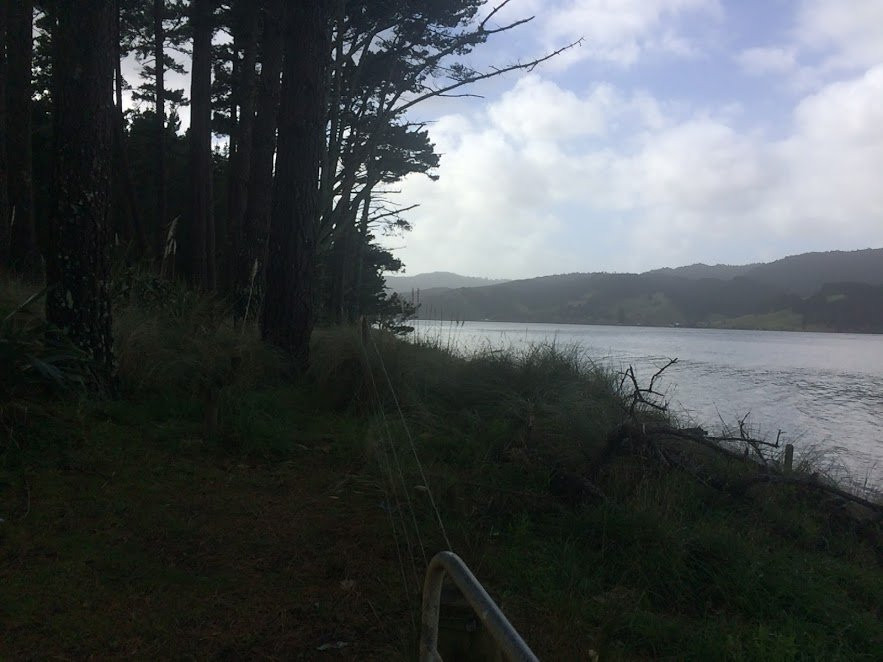 Waiuku Forst-奥克兰中心地区必去景点