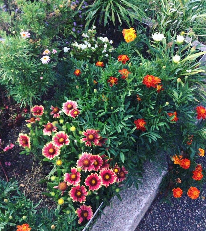 最佳西方海泉汽车旅馆主图