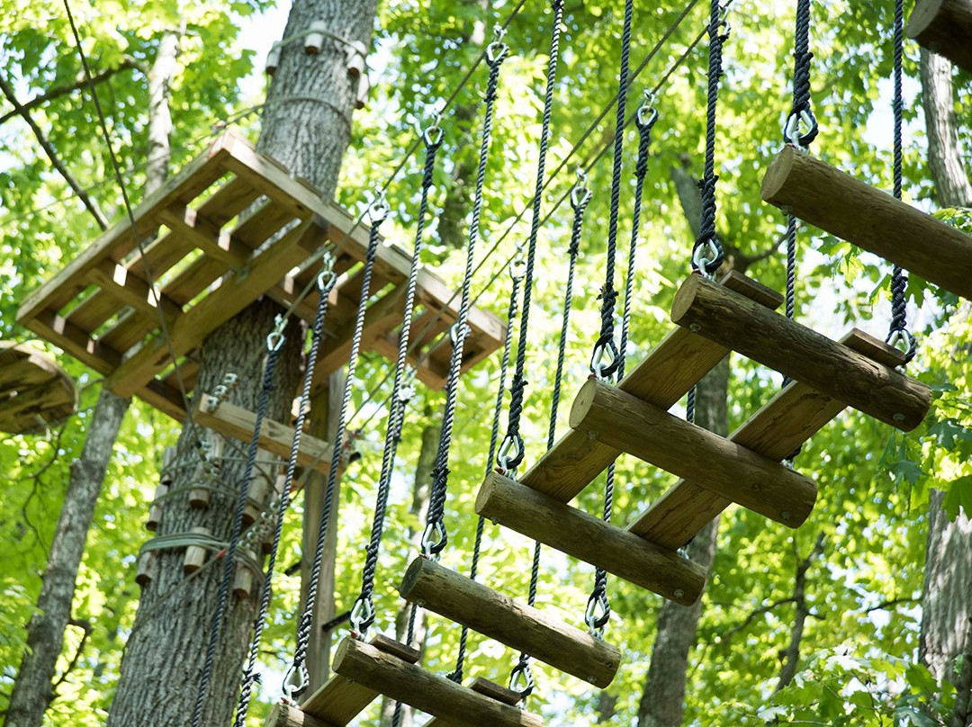 Tree Tops Ropes Course-塞维尔维尔必去景点