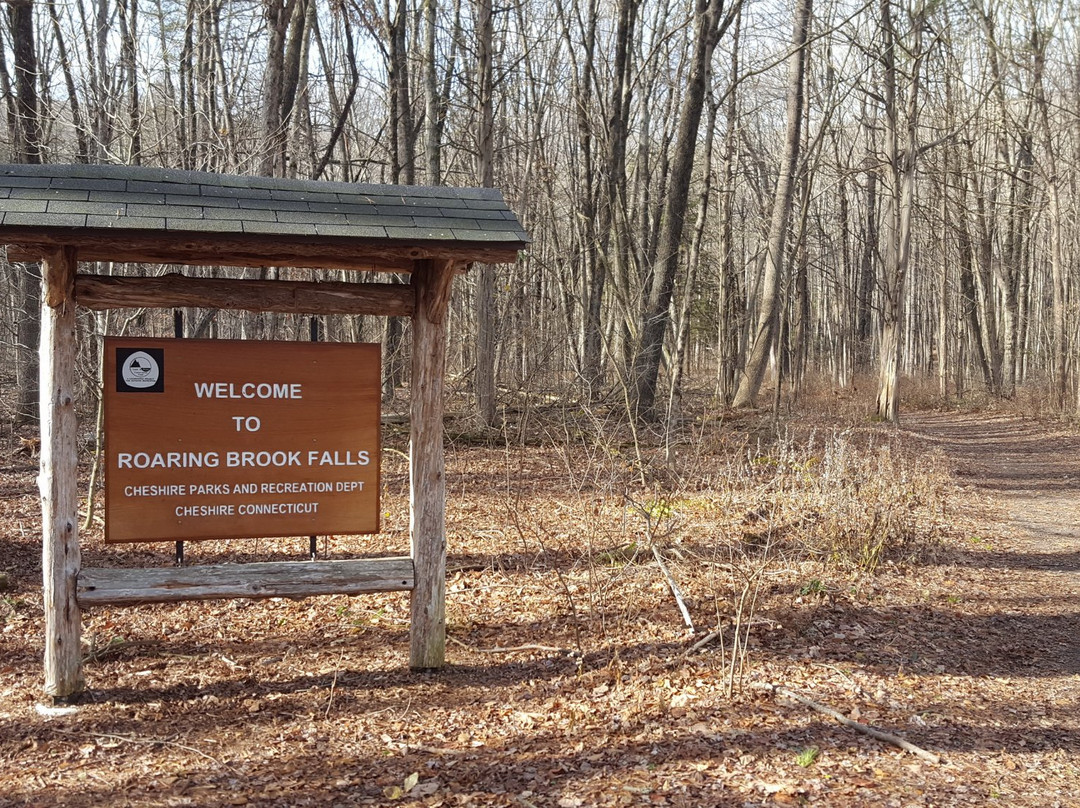 Roaring Brook Park景点图片