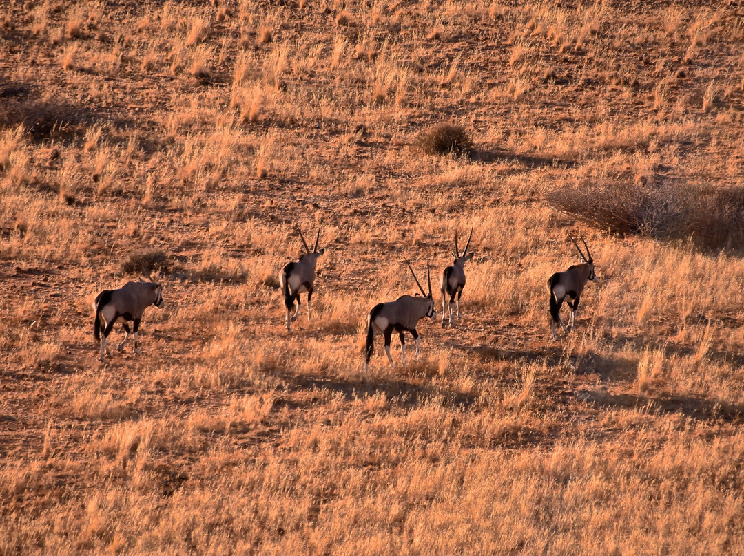 Samawati Hot Air Ballooning-Solitaire必去景点