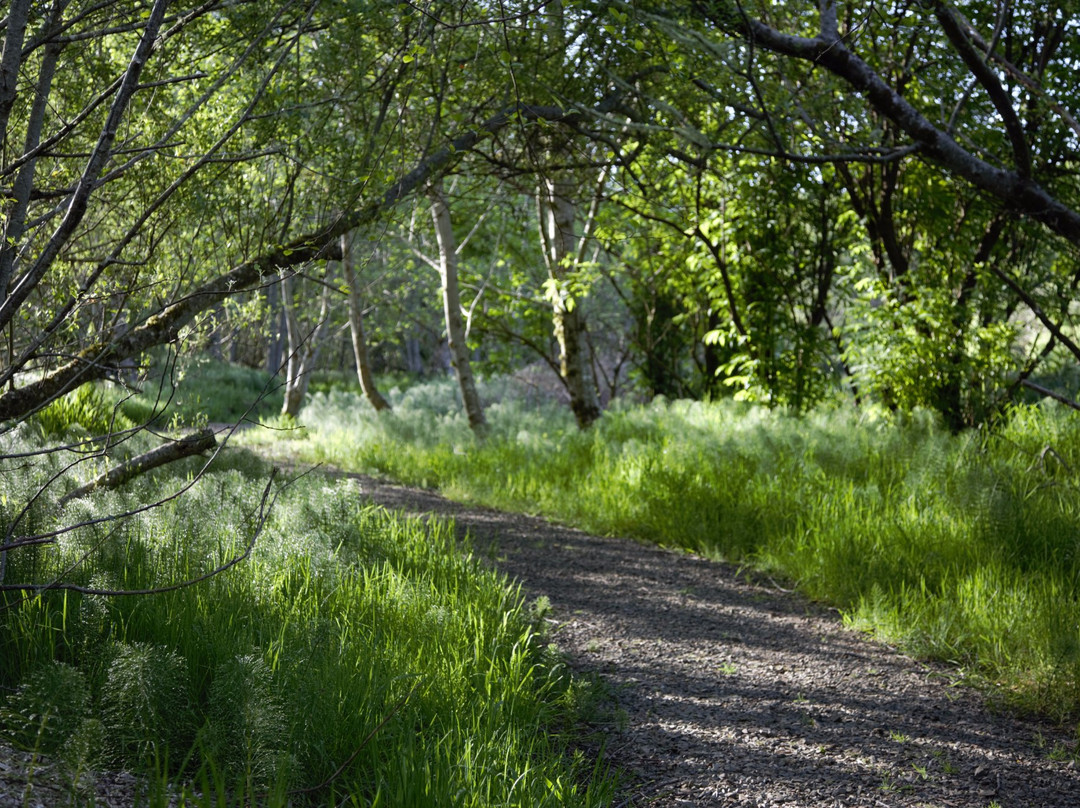 Siletz Bay National Wildlife Refuge景点图片