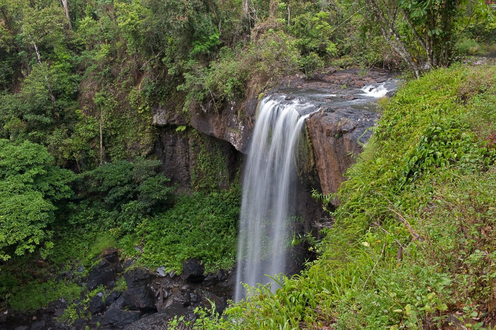 Zillie Falls-Millaa Millaa必去景点