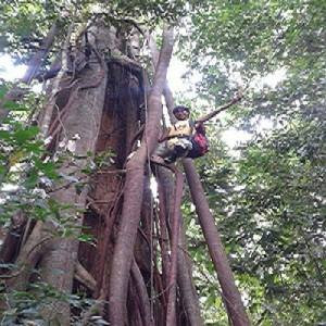 Sumatra Eco Adventure-武吉拉旺必去景点