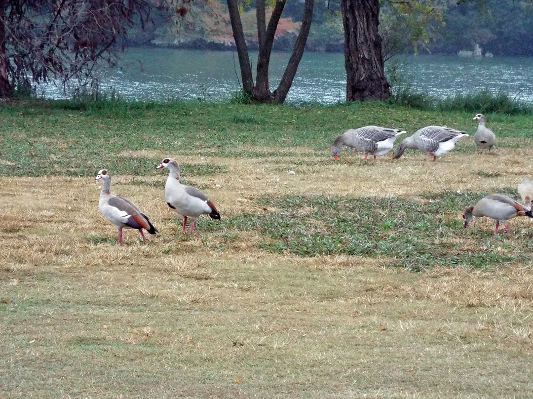 Flat Rock Park-克尔维尔必去景点