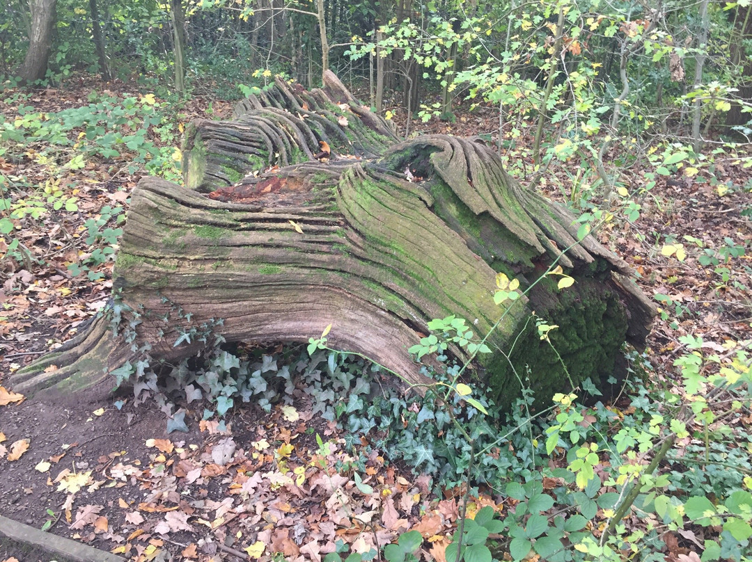 Brotherton Nature Park-Bromborough必去景点