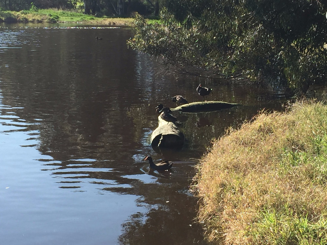 Darebin Parklands景点图片