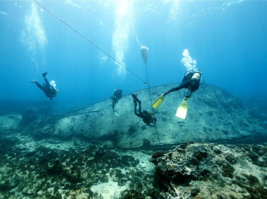 Bora Dive & Research景点图片
