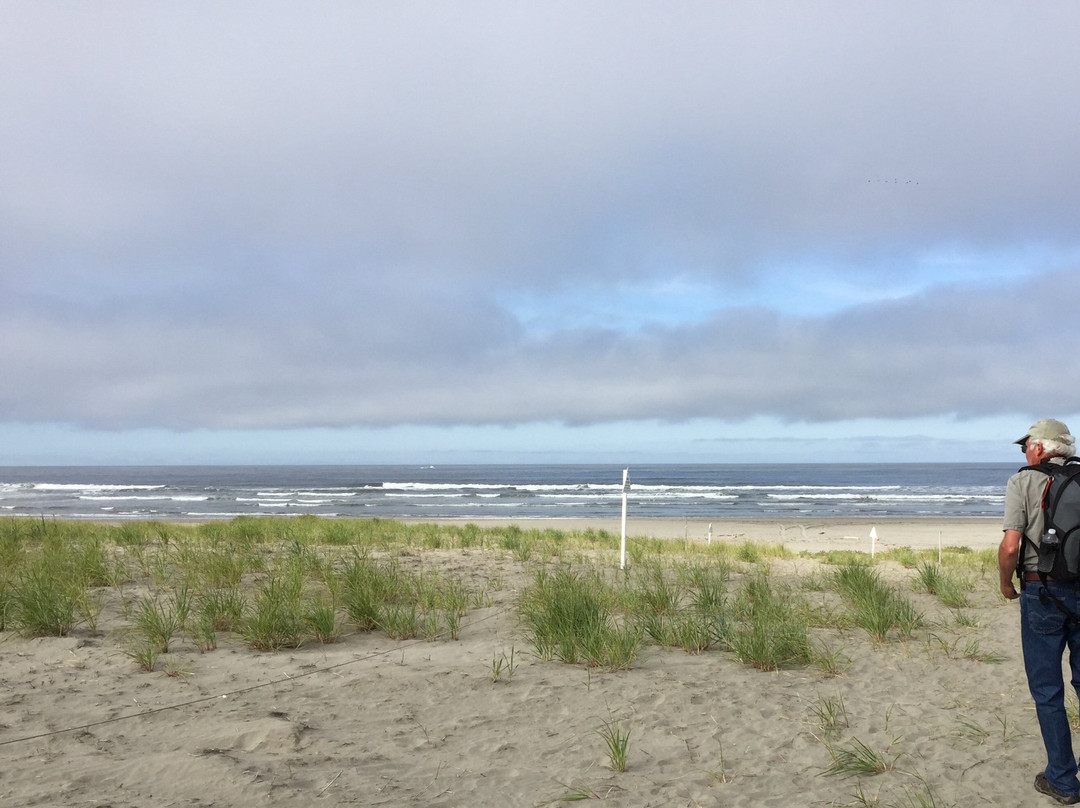 Leadbetter Point State Park-Oysterville必去景点