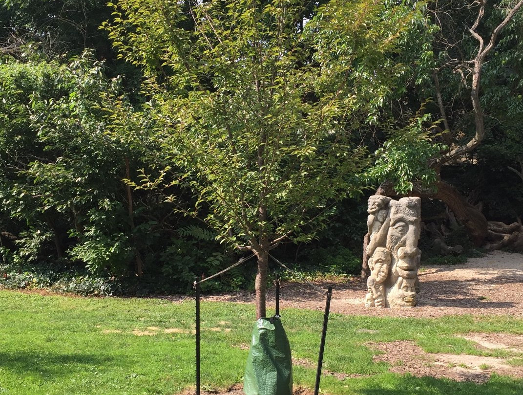 Arboretum at Haverford College-Haverford必去景点