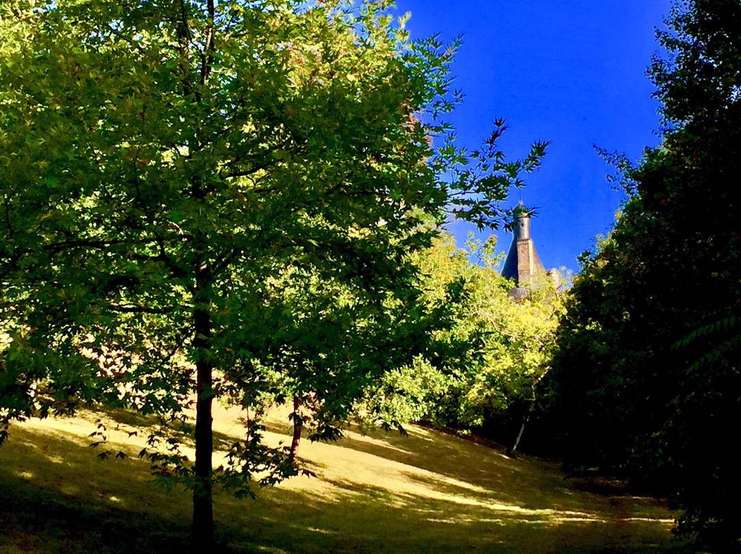 Chateau de Touffou景点图片