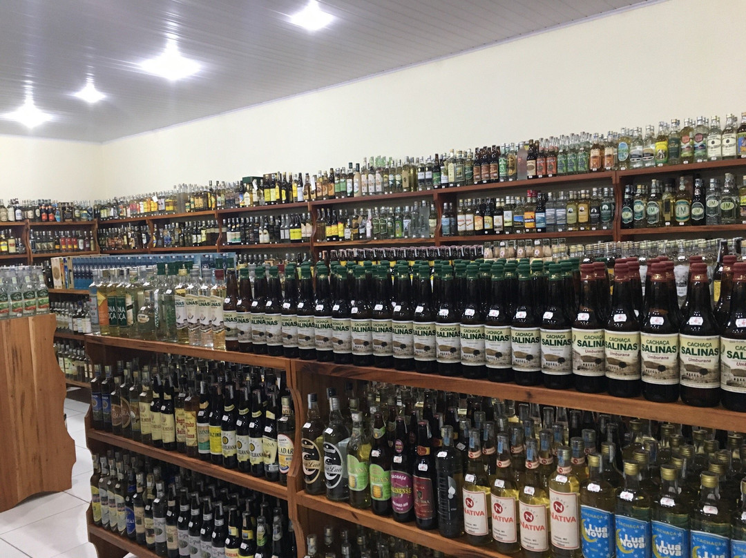 Bar do Marcelo & Goncalvinhos-Goncalves必去景点