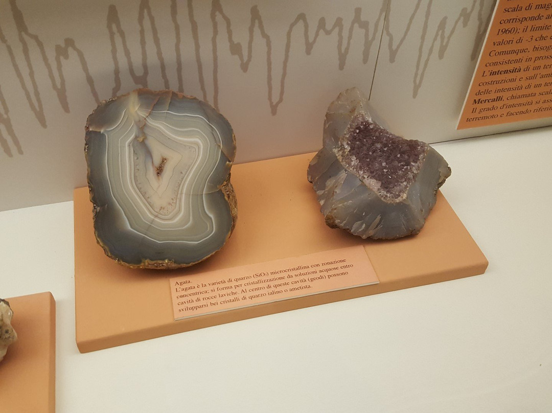 Museo Civico di Storia Naturale-费拉拉必去景点
