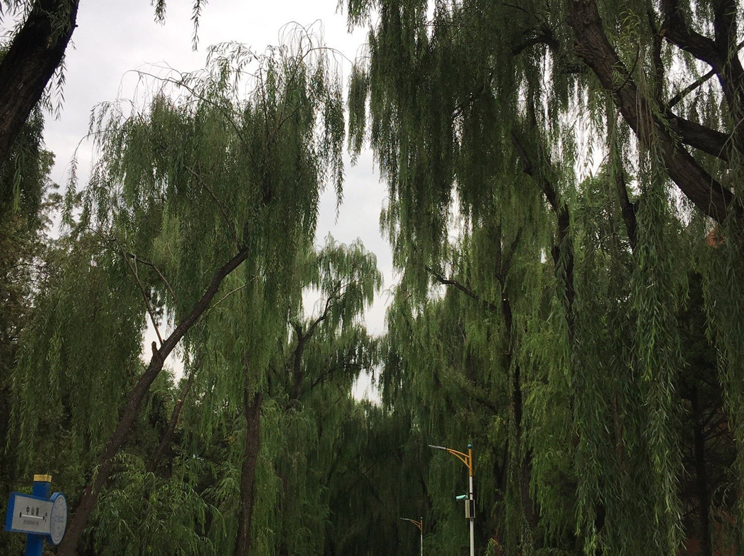 兰州大学景点图片