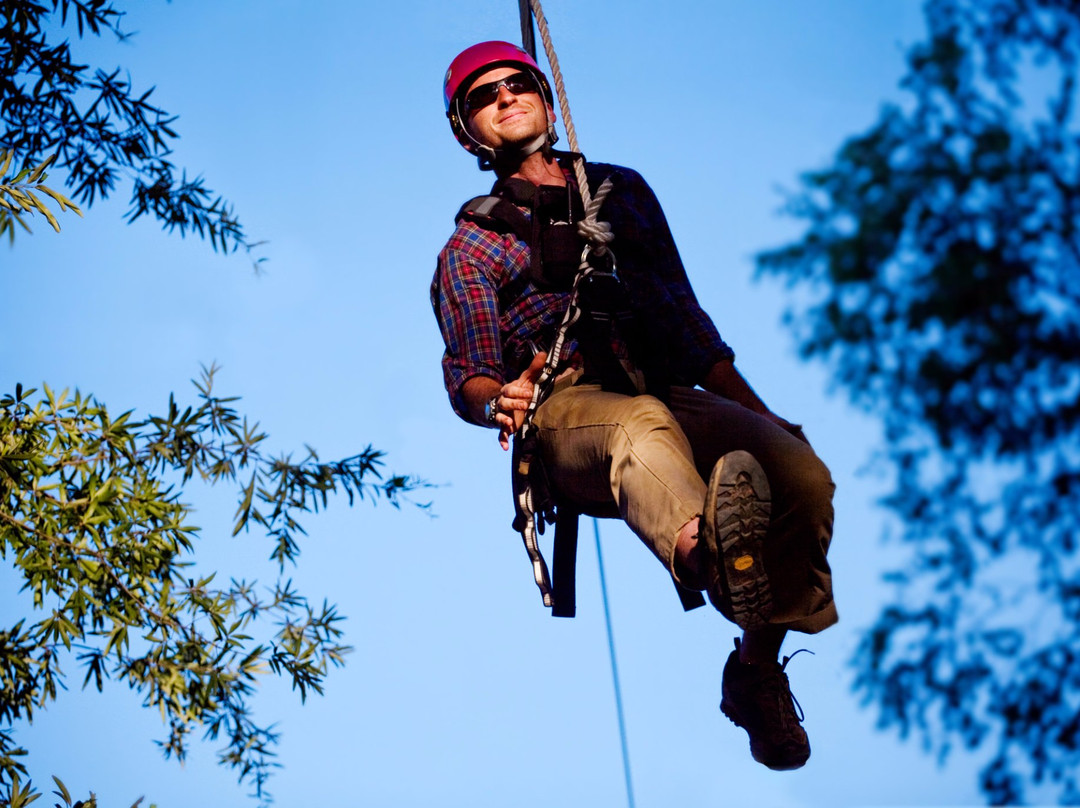 The Beanstalk Journey Zipline-Morganton必去景点