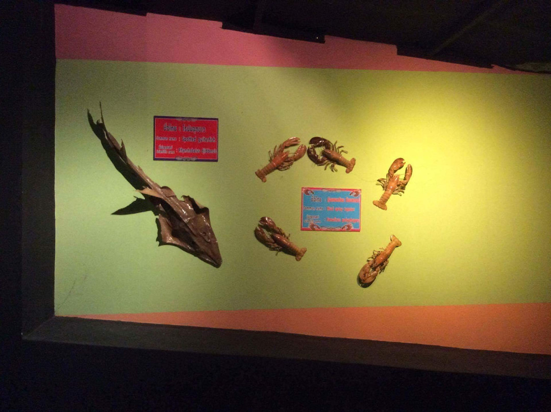 Songkhla Aquarium景点图片