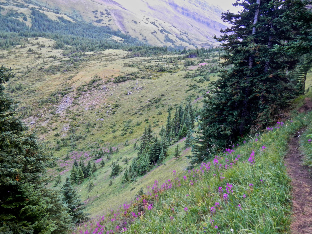 Centennial Ridge Trail-戴德曼斯弗莱斯必去景点