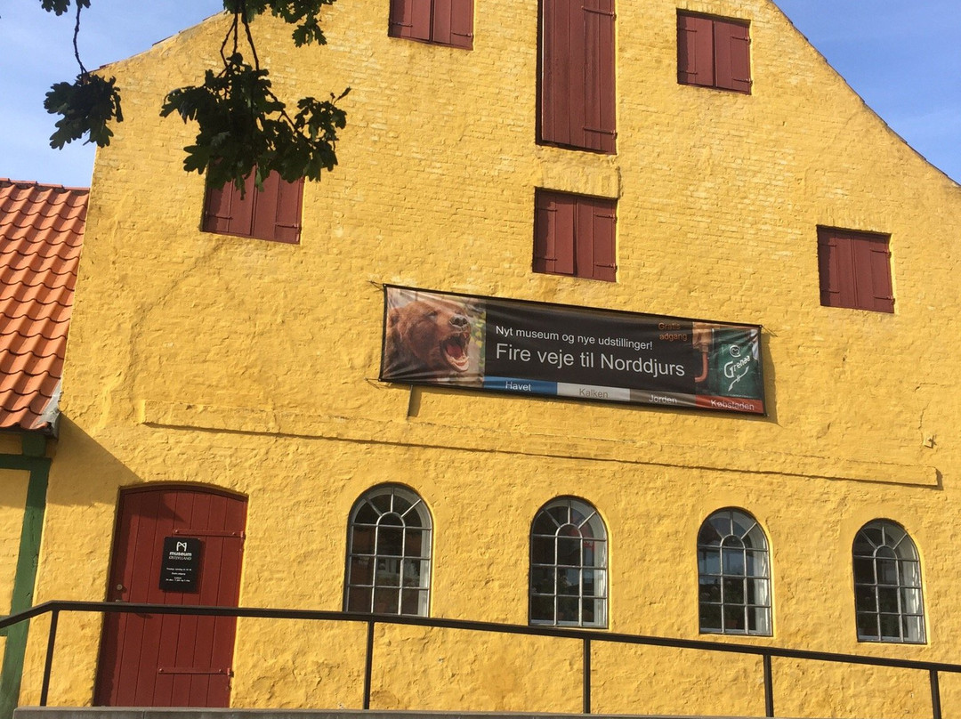 Museum Ostjylland Grenaa景点图片