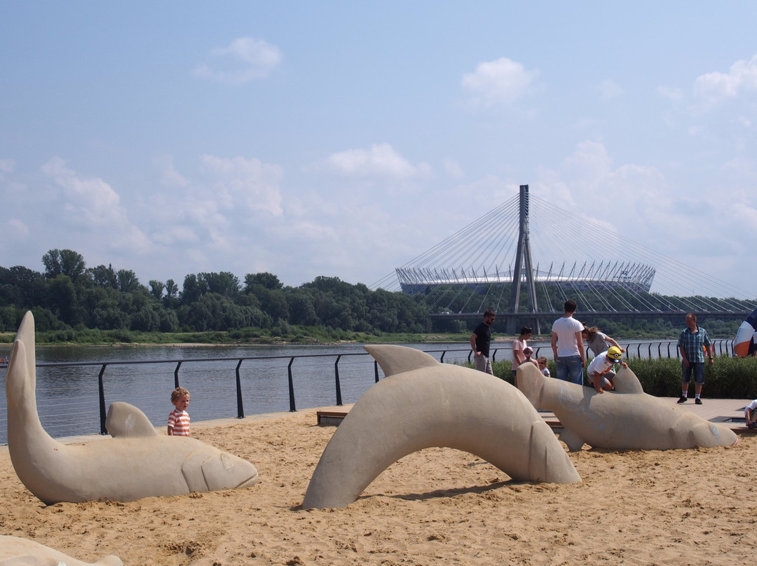 Rajska Plaża przy Moście Krasińskiego-华沙必去景点