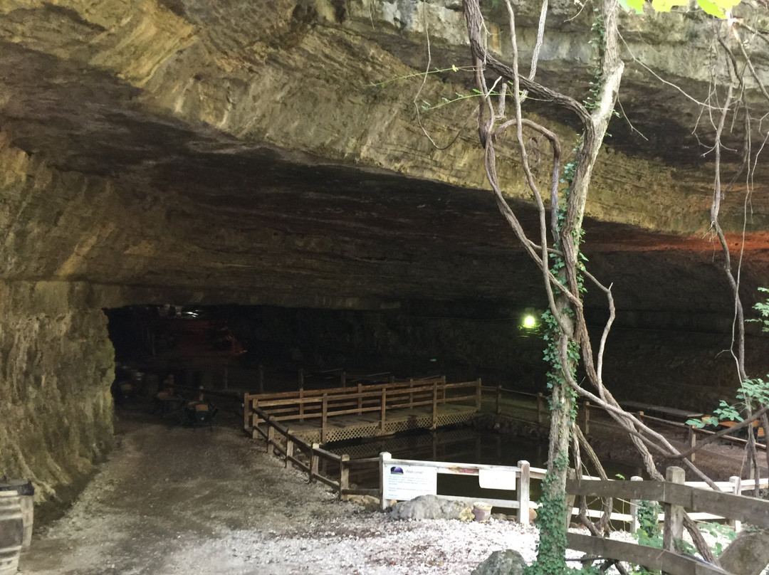 Cave Vineyard-Sainte Genevieve必去景点