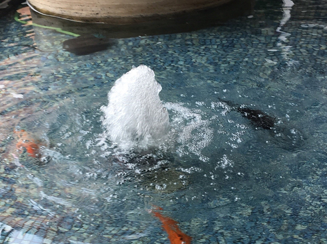 1896花园酒店（大连火车站中山广场店）主图