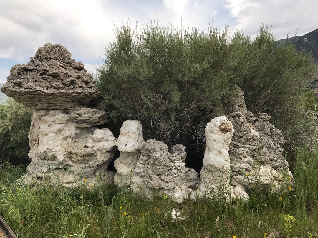 Mono Lake County Park景点图片