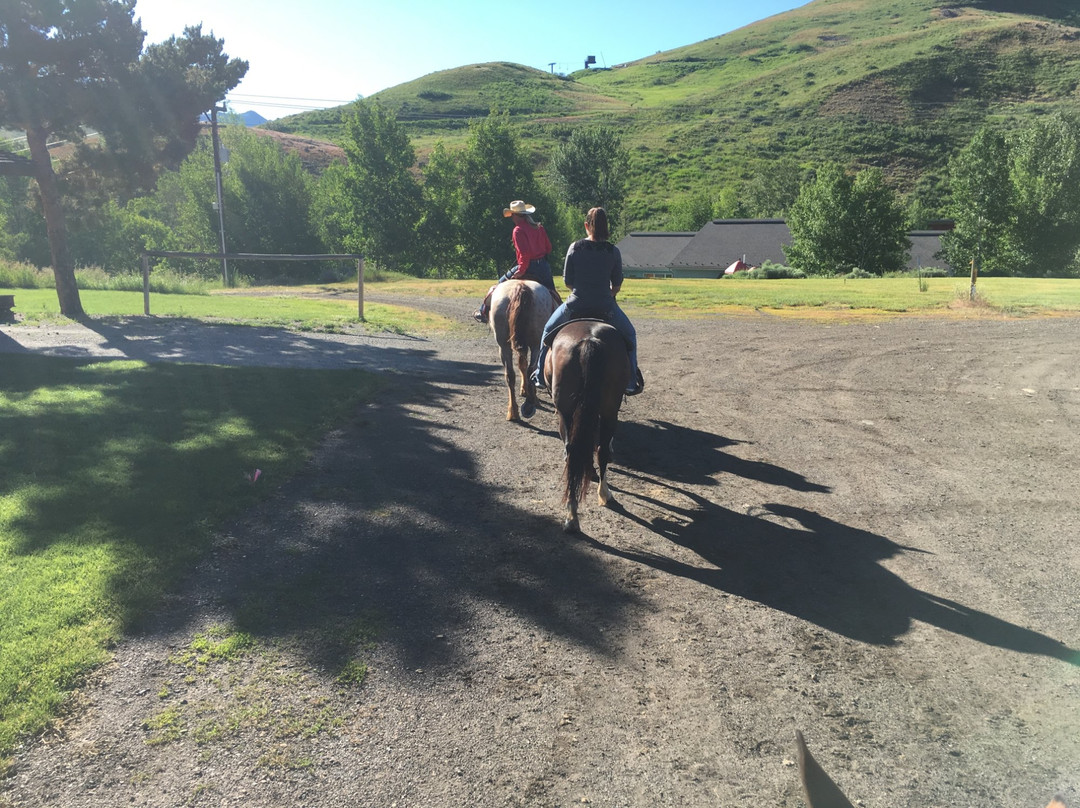 Sun Valley Stables-森瓦利必去景点