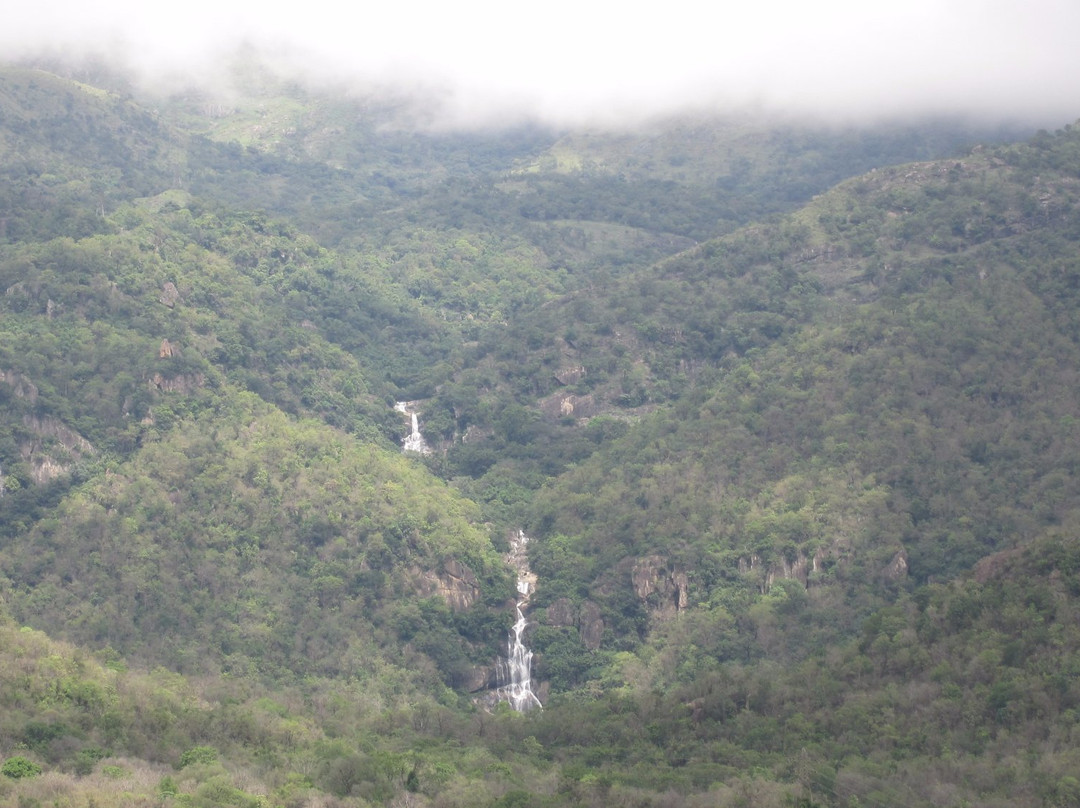 Ayyanar Falls-Rajapalayam必去景点