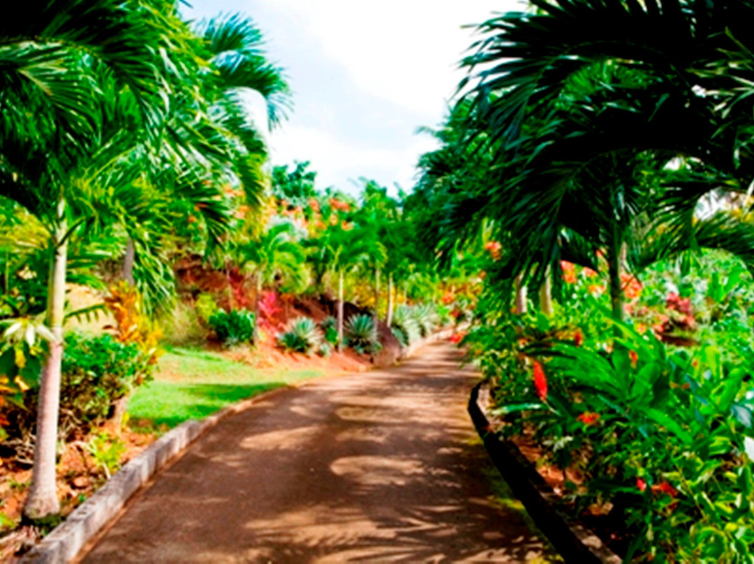 Coffeeriver Cottages
