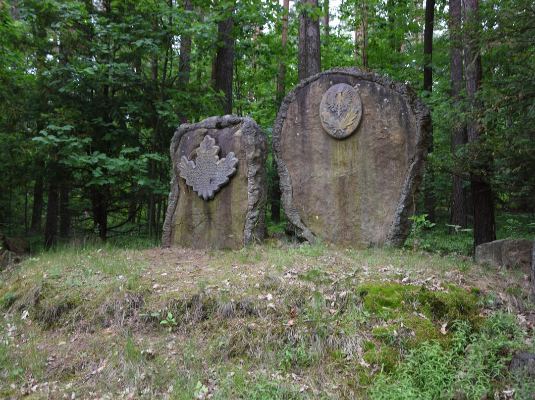 Starachowice旅游攻略图片