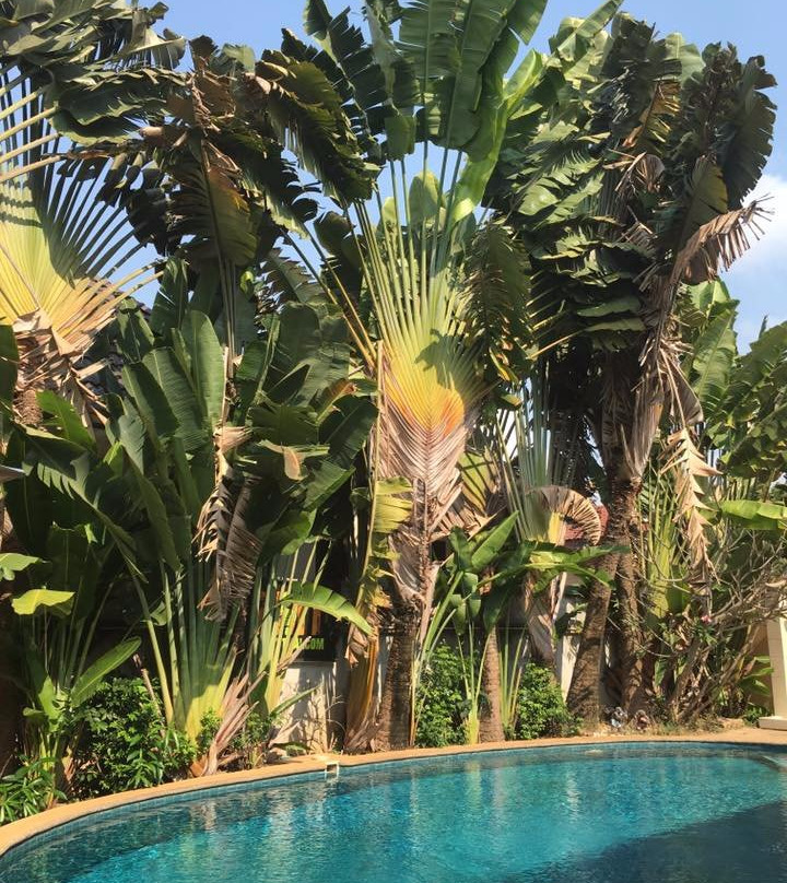 7 Muay Thai Gym & Beach Resort-查蓬必去景点