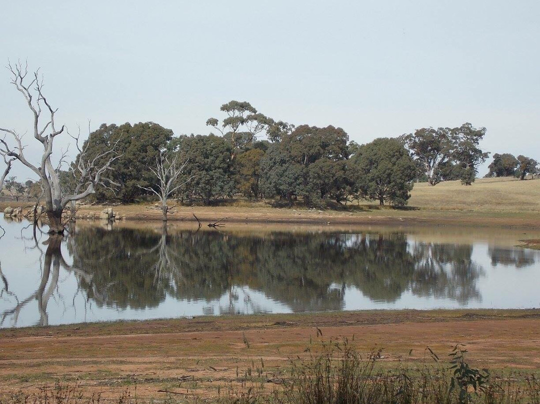 Tullaroop Reservoir景点图片