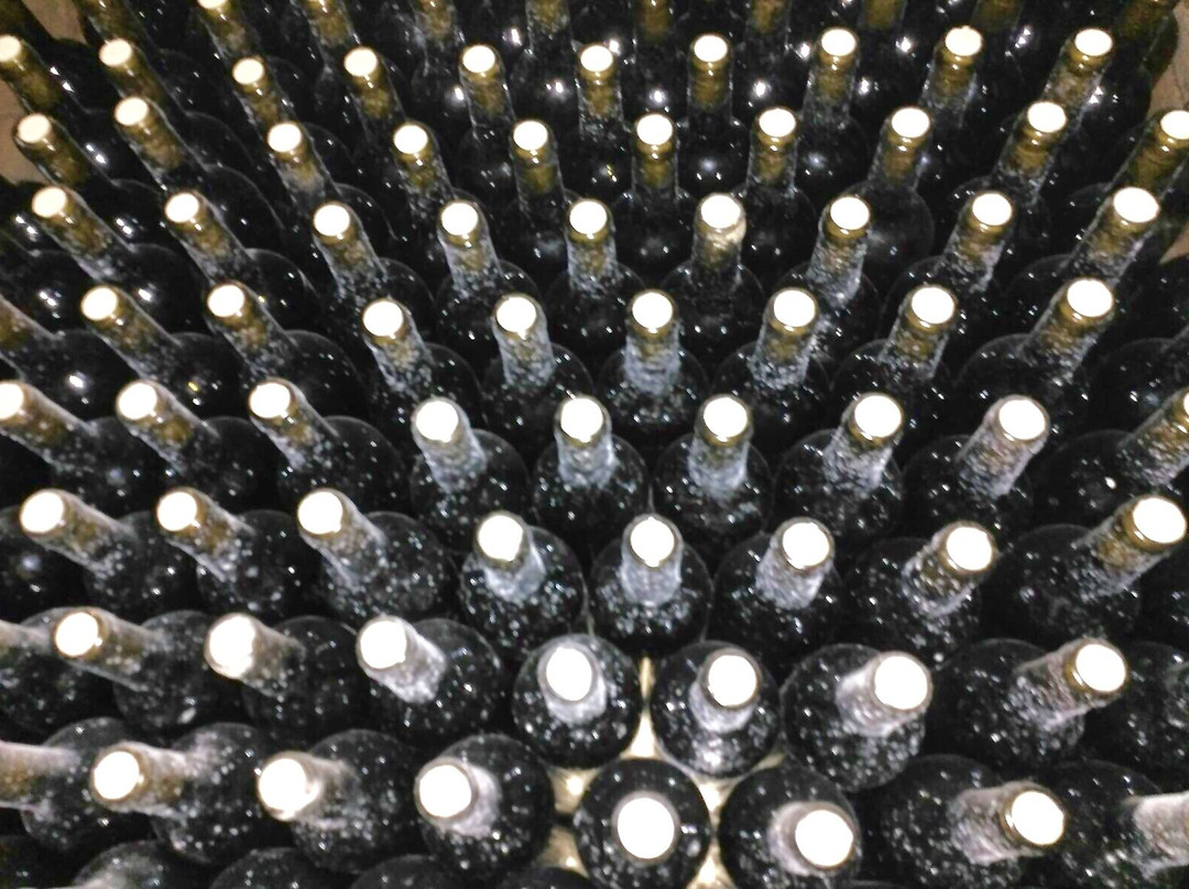 Bodegas Marques de Arviza-Fuenmayor必去景点