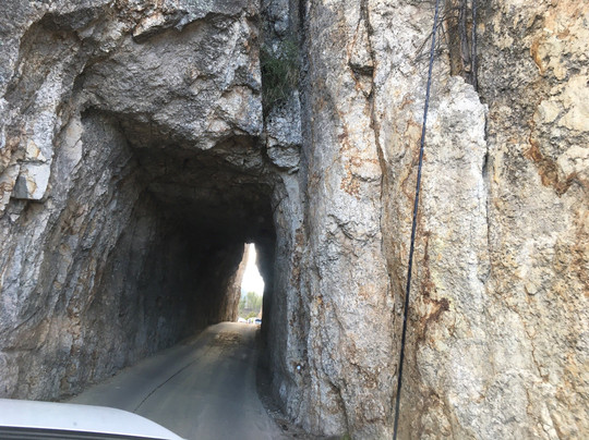 Custer State Park Resort-卡斯特必去景点