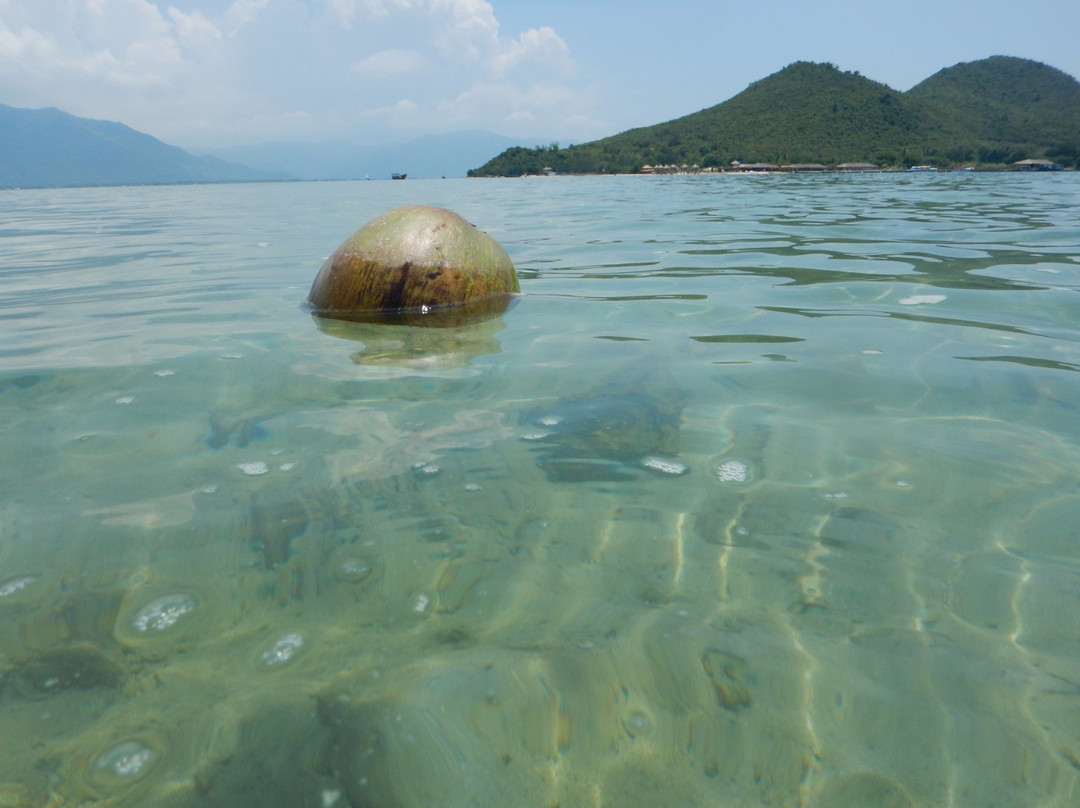 Diep Son Island景点图片