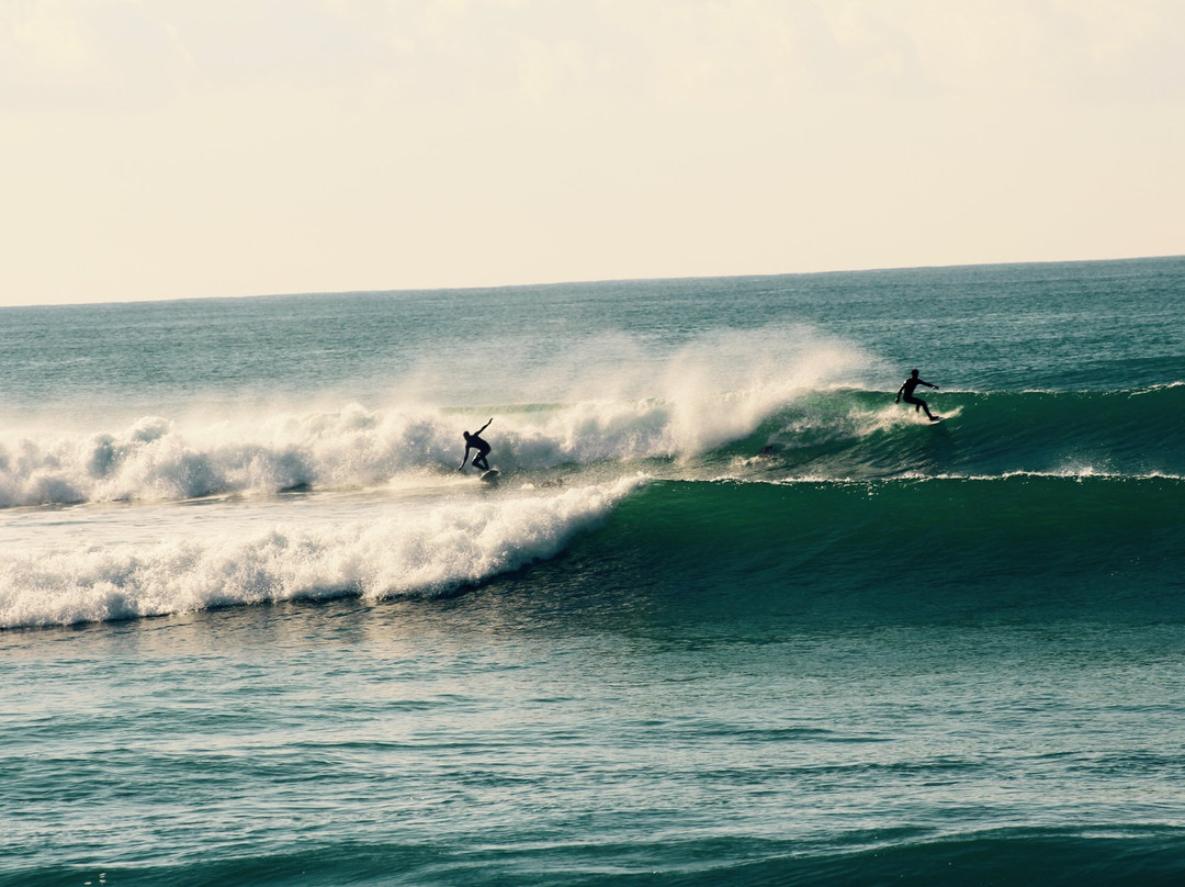 ASA Algarve Sea Adventures景点图片