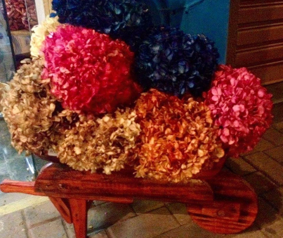 Artesanato & Cia-圣安东尼奥杜皮尼亚尔必去景点