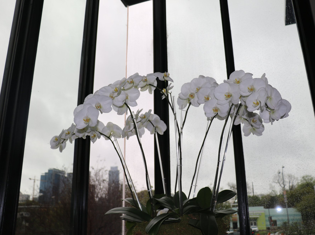 Zach Theatre-奥斯丁必去景点