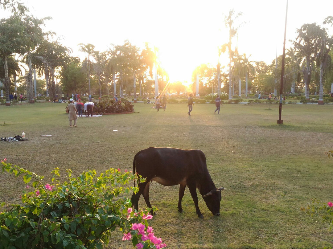 Ajwa Garden景点图片