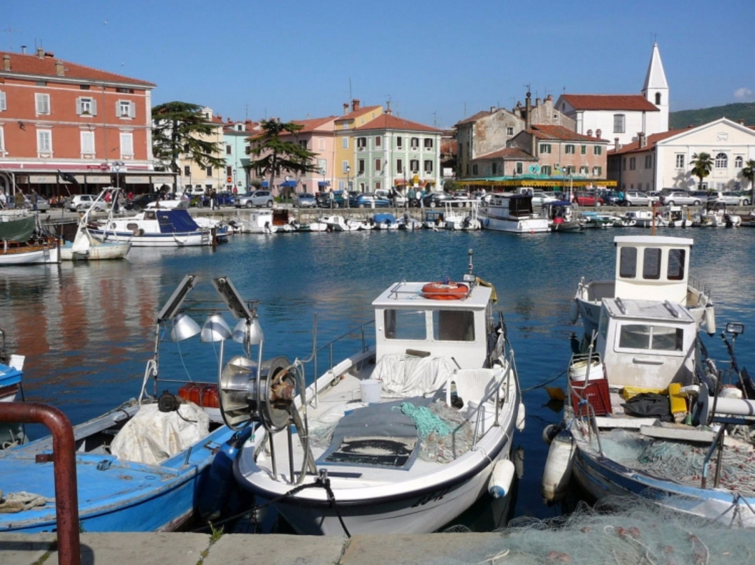 Turistično Združenje Izola景点图片