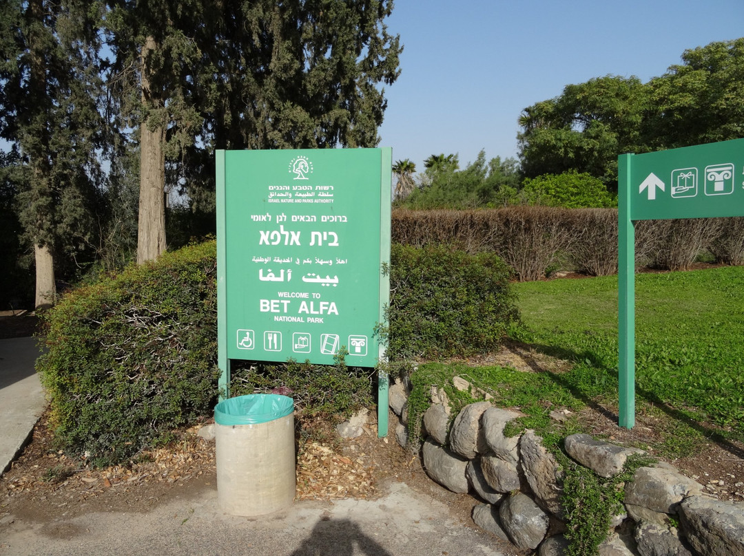 Bet Alpha Synagogue National Park景点图片