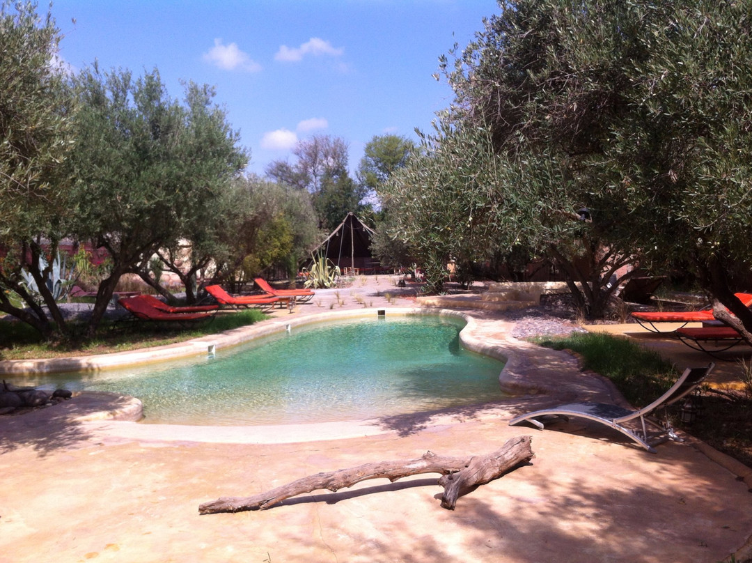 Lagouassem酒店住宿-Dar Tougga