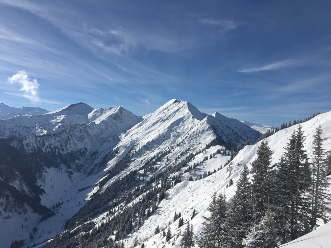 Skigebiet Großarltal-Dorfgastein-果斯萨尔必去景点
