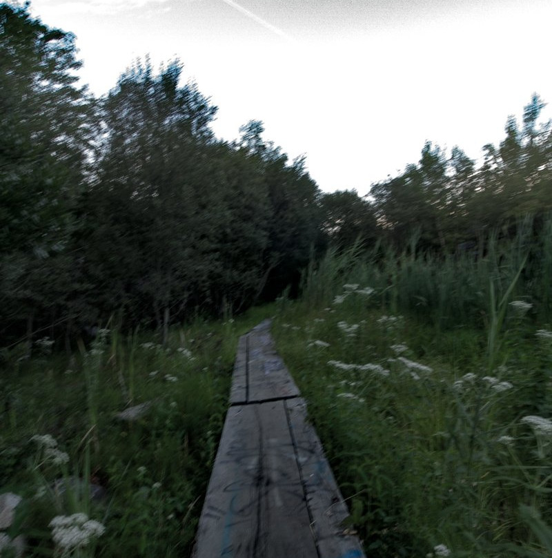 Quincy Quarries Reservation-昆西必去景点