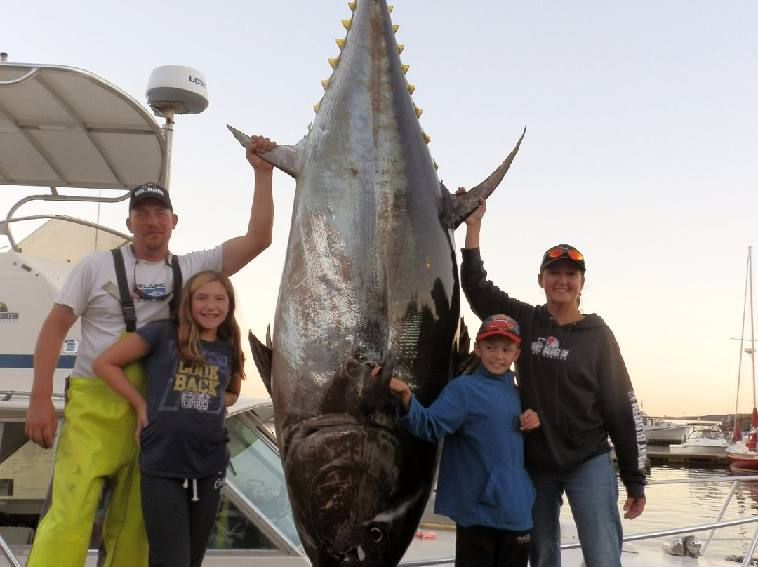 Giant Bluefin Tuna Charters-安蒂岗尼希必去景点